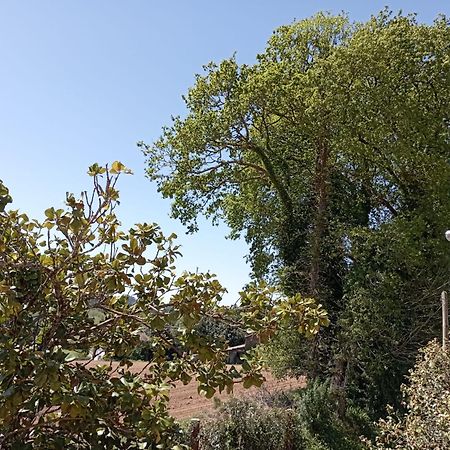 דירות Ordes A Casa Do San Paio De Buscas מראה חיצוני תמונה