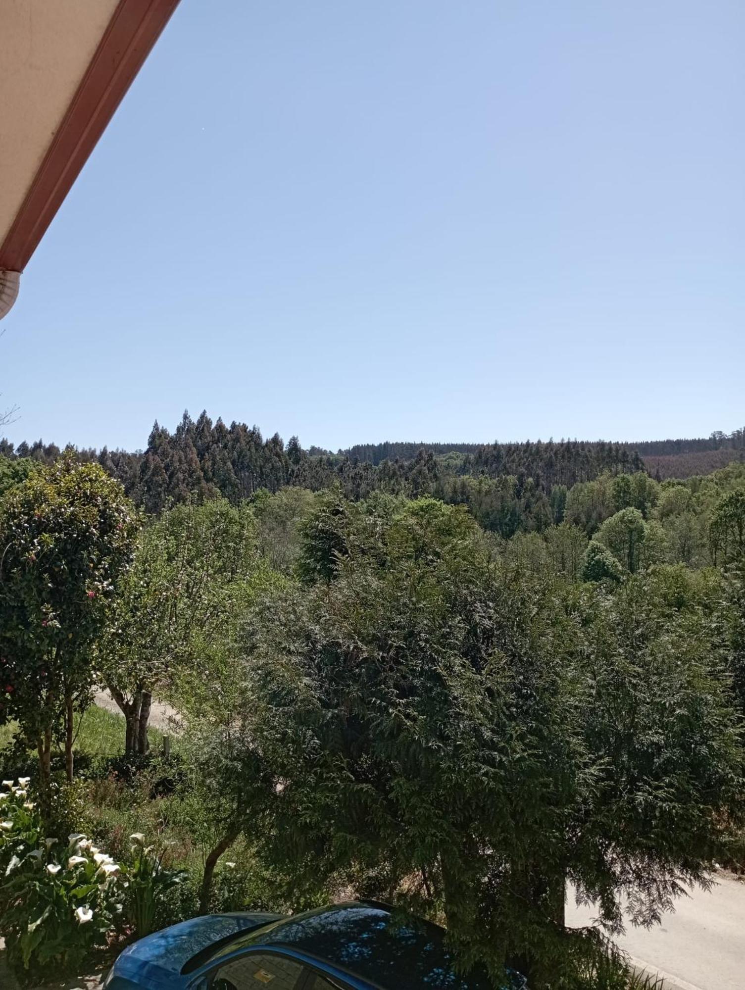דירות Ordes A Casa Do San Paio De Buscas מראה חיצוני תמונה