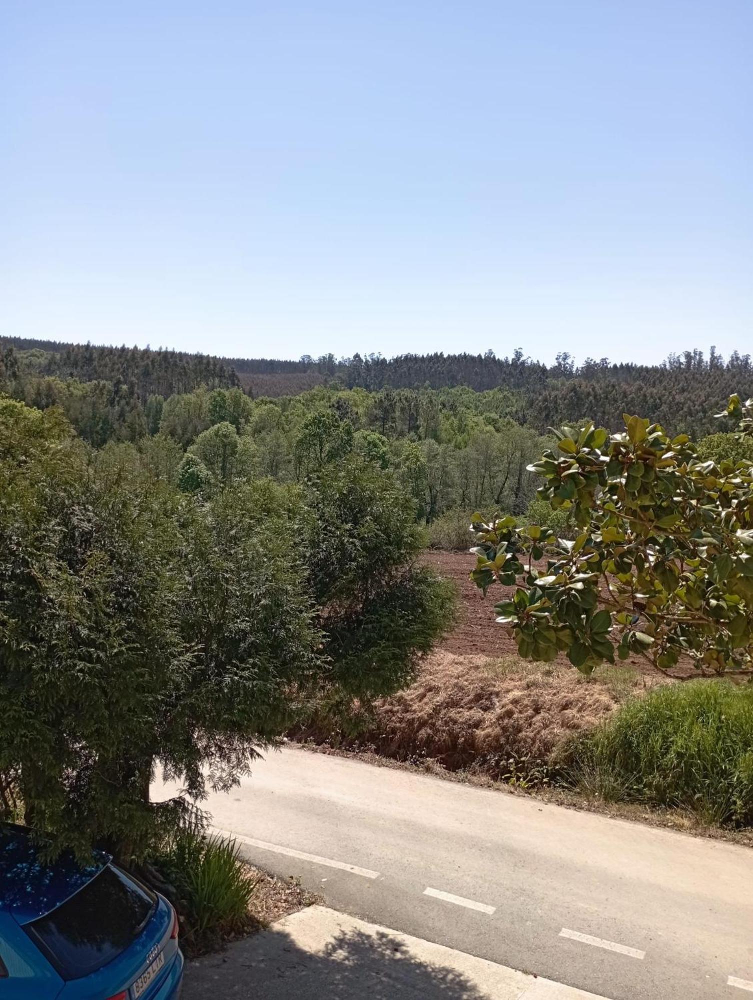 דירות Ordes A Casa Do San Paio De Buscas מראה חיצוני תמונה
