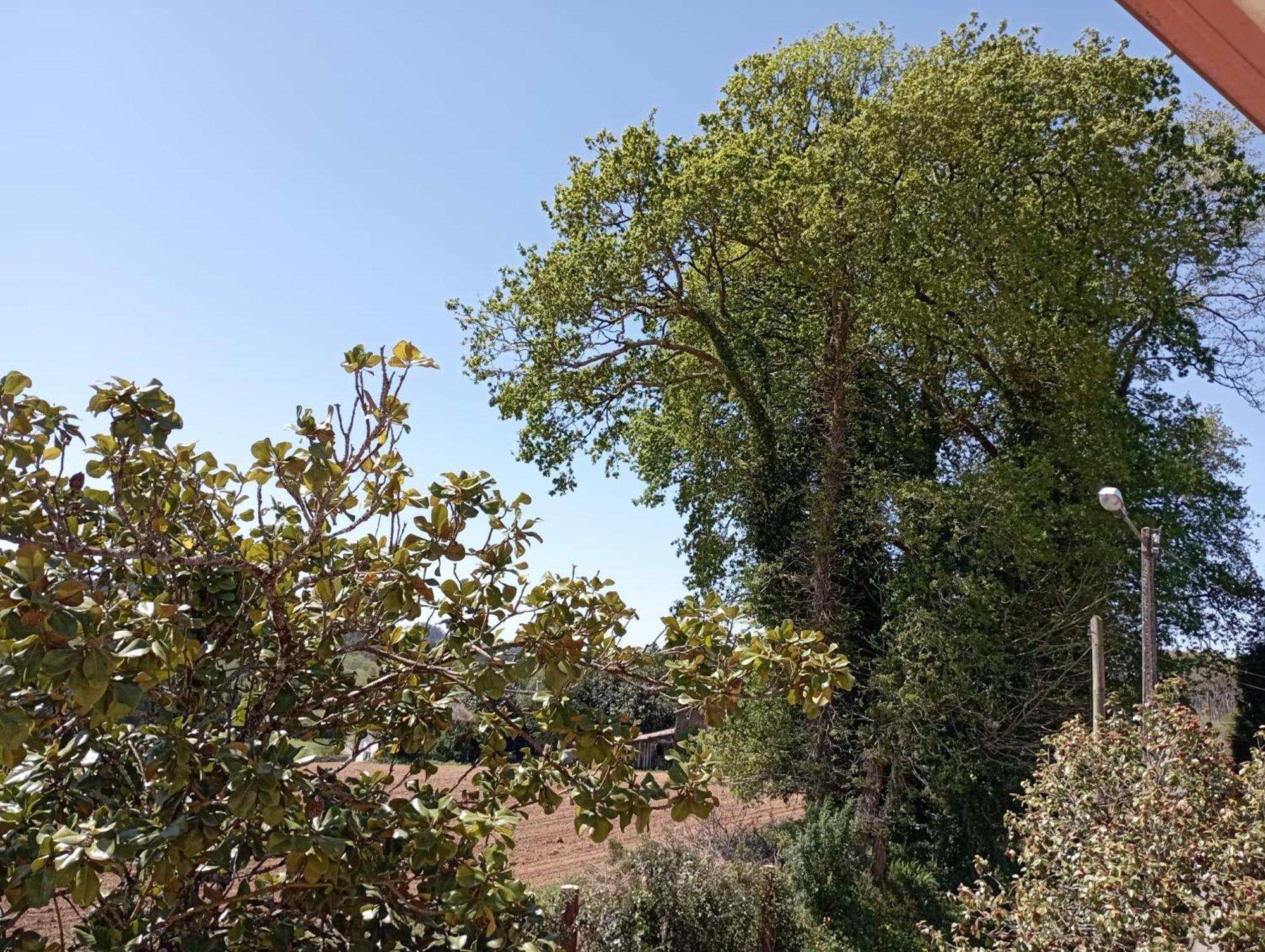 דירות Ordes A Casa Do San Paio De Buscas מראה חיצוני תמונה