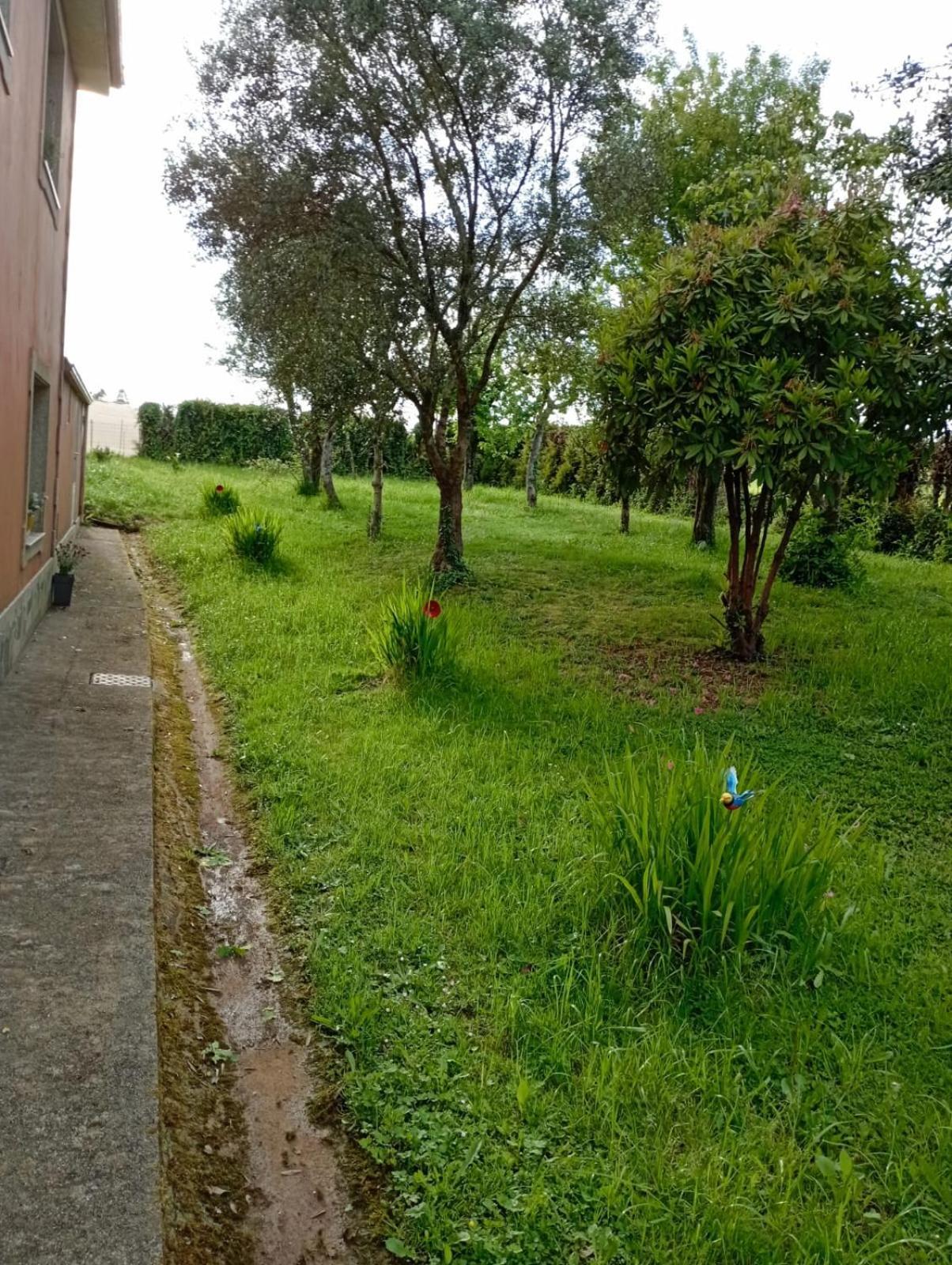 דירות Ordes A Casa Do San Paio De Buscas מראה חיצוני תמונה