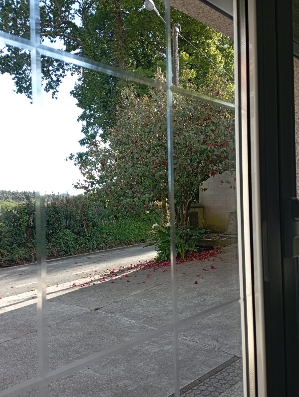 דירות Ordes A Casa Do San Paio De Buscas מראה חיצוני תמונה