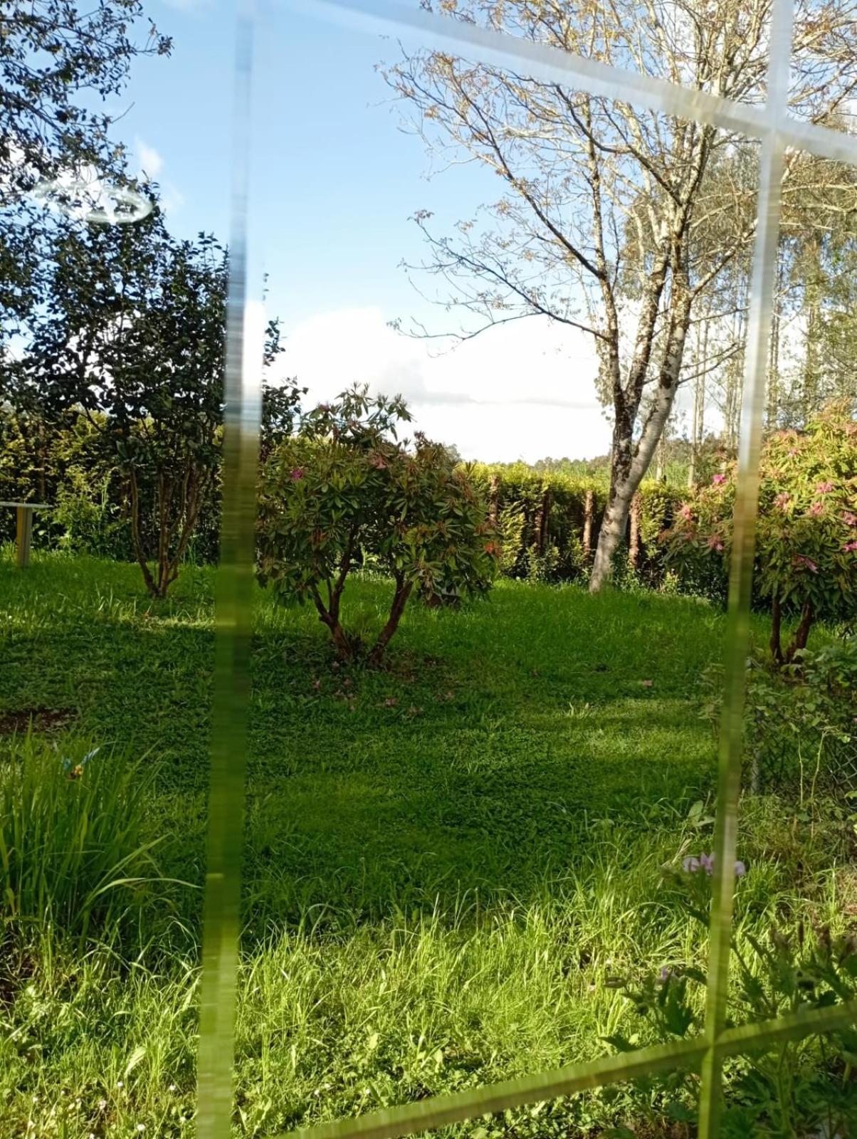 דירות Ordes A Casa Do San Paio De Buscas מראה חיצוני תמונה